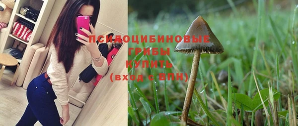 винт Богородск