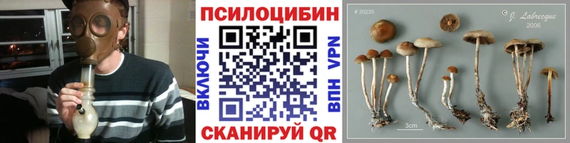 Псилоцибиновые грибы Magic Shrooms  Короча 