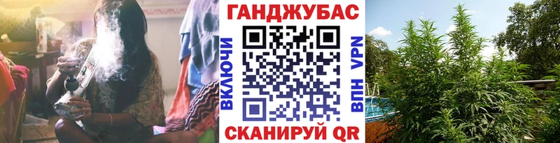 Бошки марихуана THC 21%  гидра сайт  Короча 
